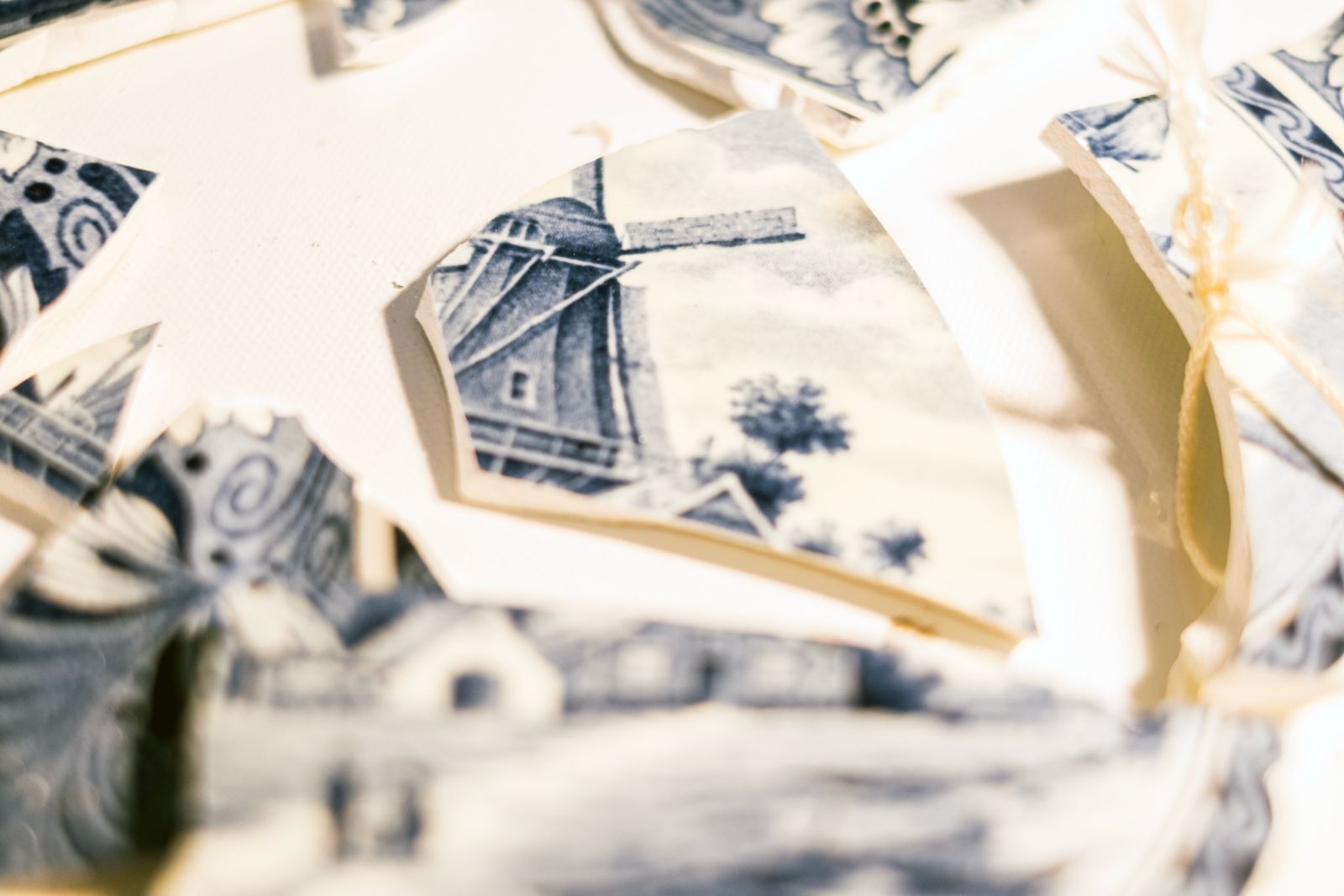 Whats App Image 2025 12 18 at 14 17 01 1